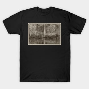 Lettuce Lake State Park T-Shirt